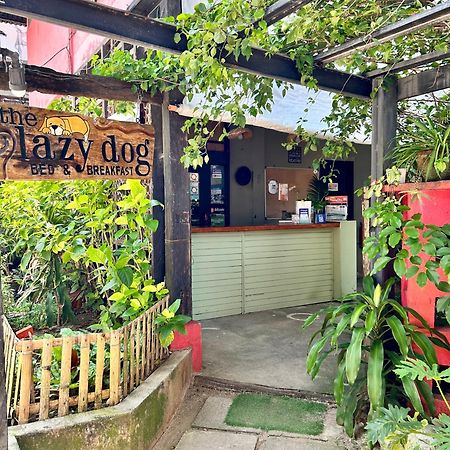 Lazy Dog Bed & Breakfast Balabag  Ngoại thất bức ảnh