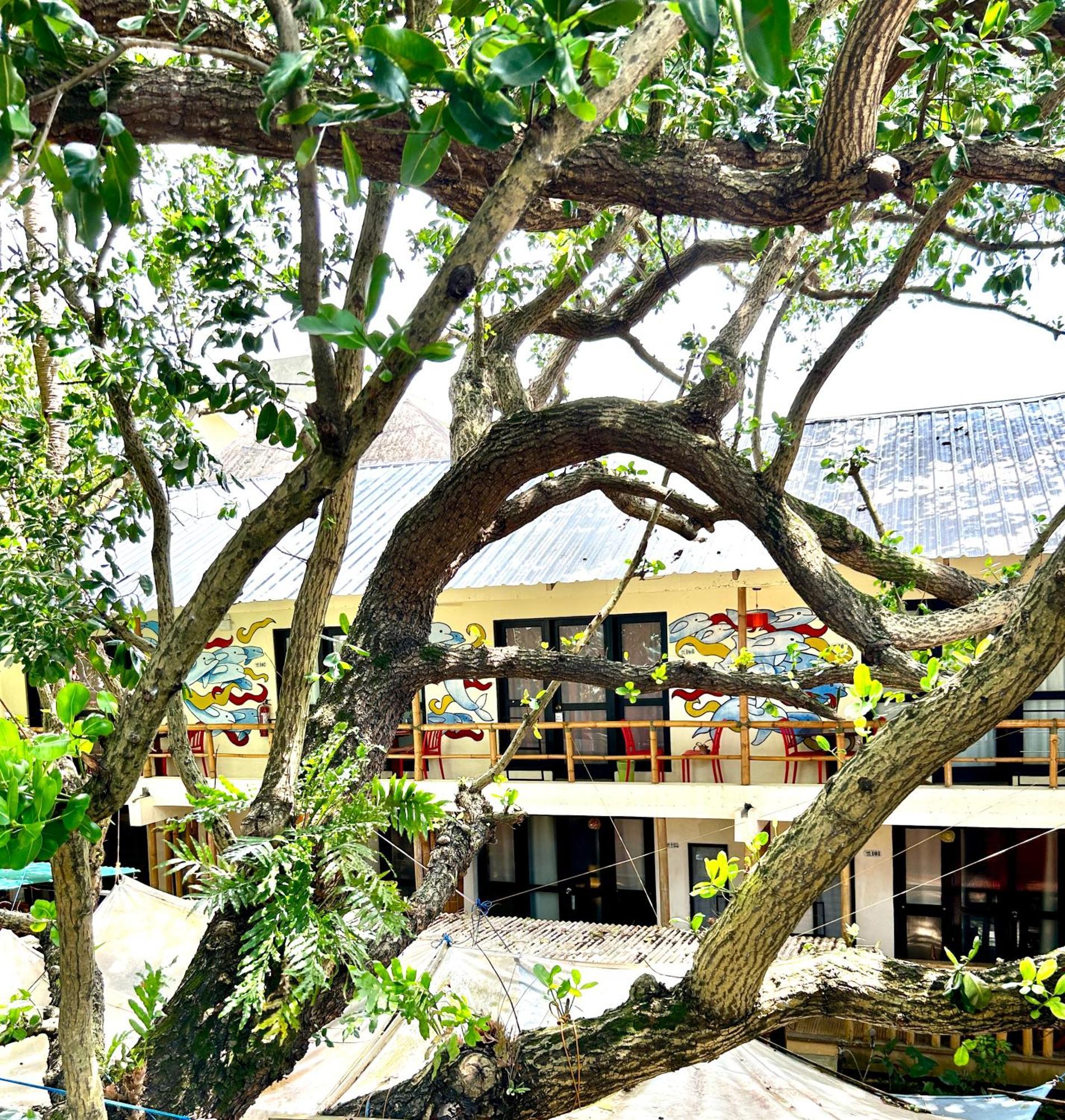 Lazy Dog Bed & Breakfast Balabag  Ngoại thất bức ảnh