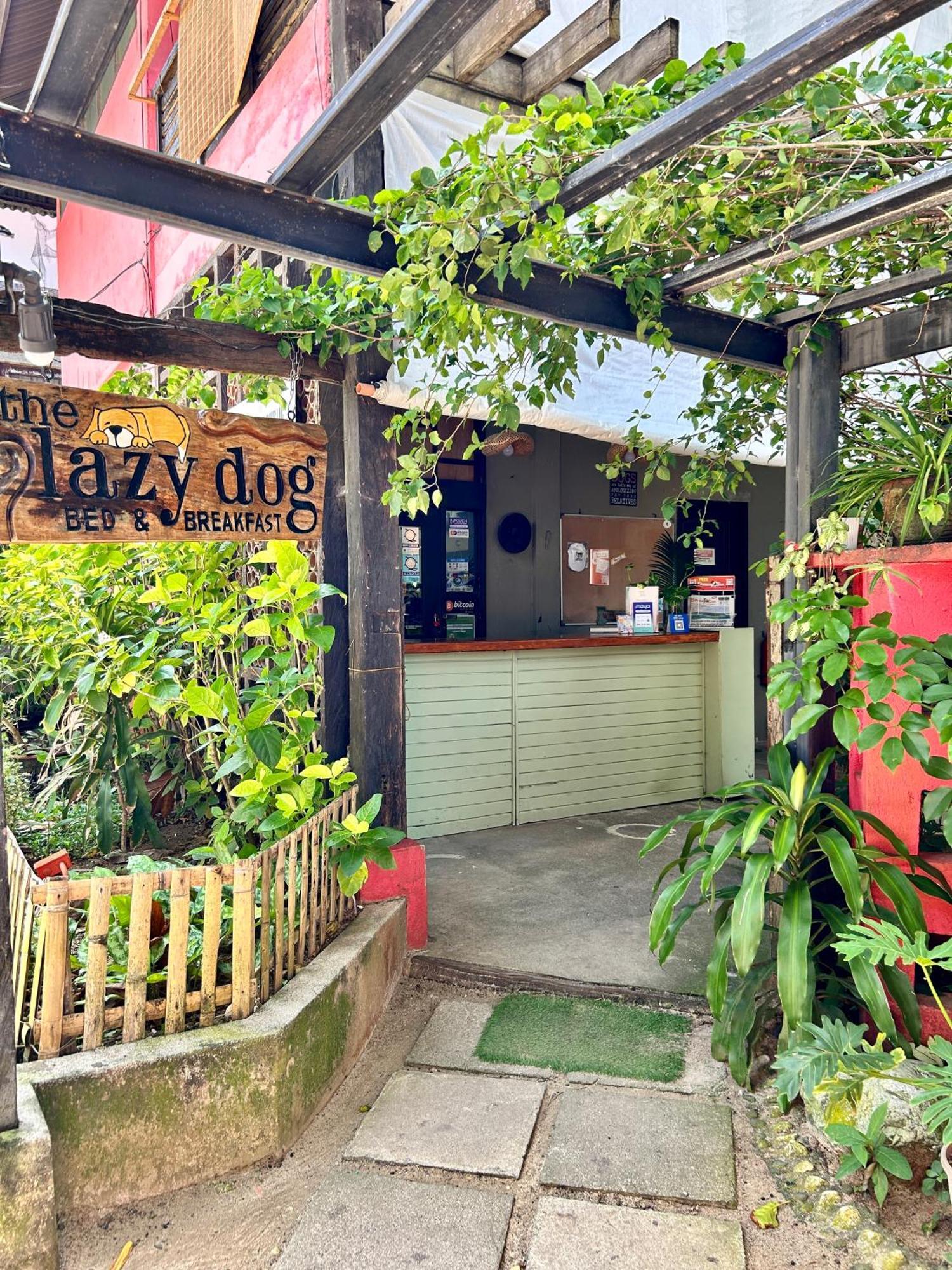 Lazy Dog Bed & Breakfast Balabag  Ngoại thất bức ảnh