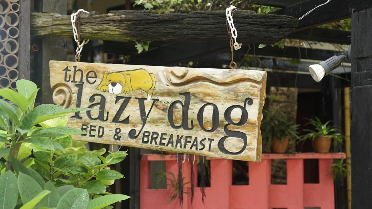 Lazy Dog Bed & Breakfast Balabag  Ngoại thất bức ảnh